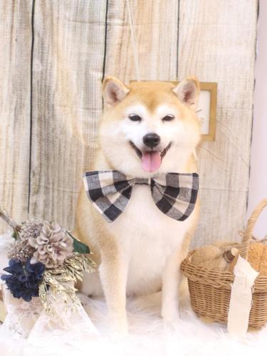 20241026初ちゃん